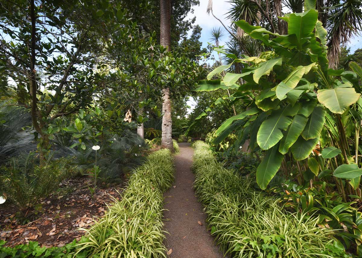 Jardín Botánico Puerto De La Cruz Tenerife Con Niños