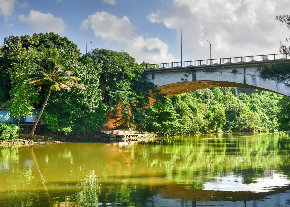 Parque Almendares En La Habana Con Niños