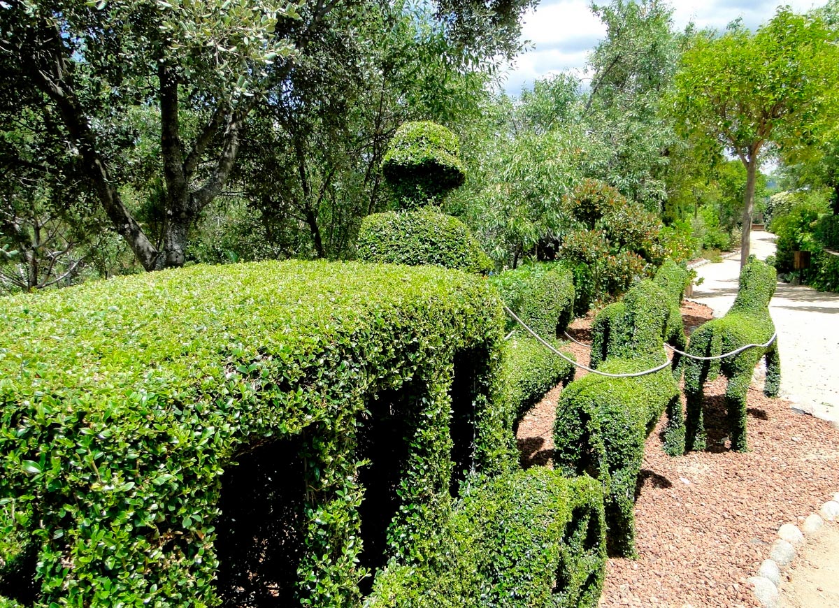 El Bosque Encantado Madrid