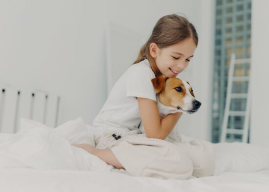 perro adoptado cuidados