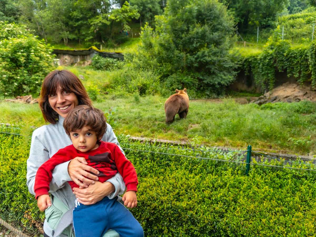 Parc Ours Borce Pirineos Franceses