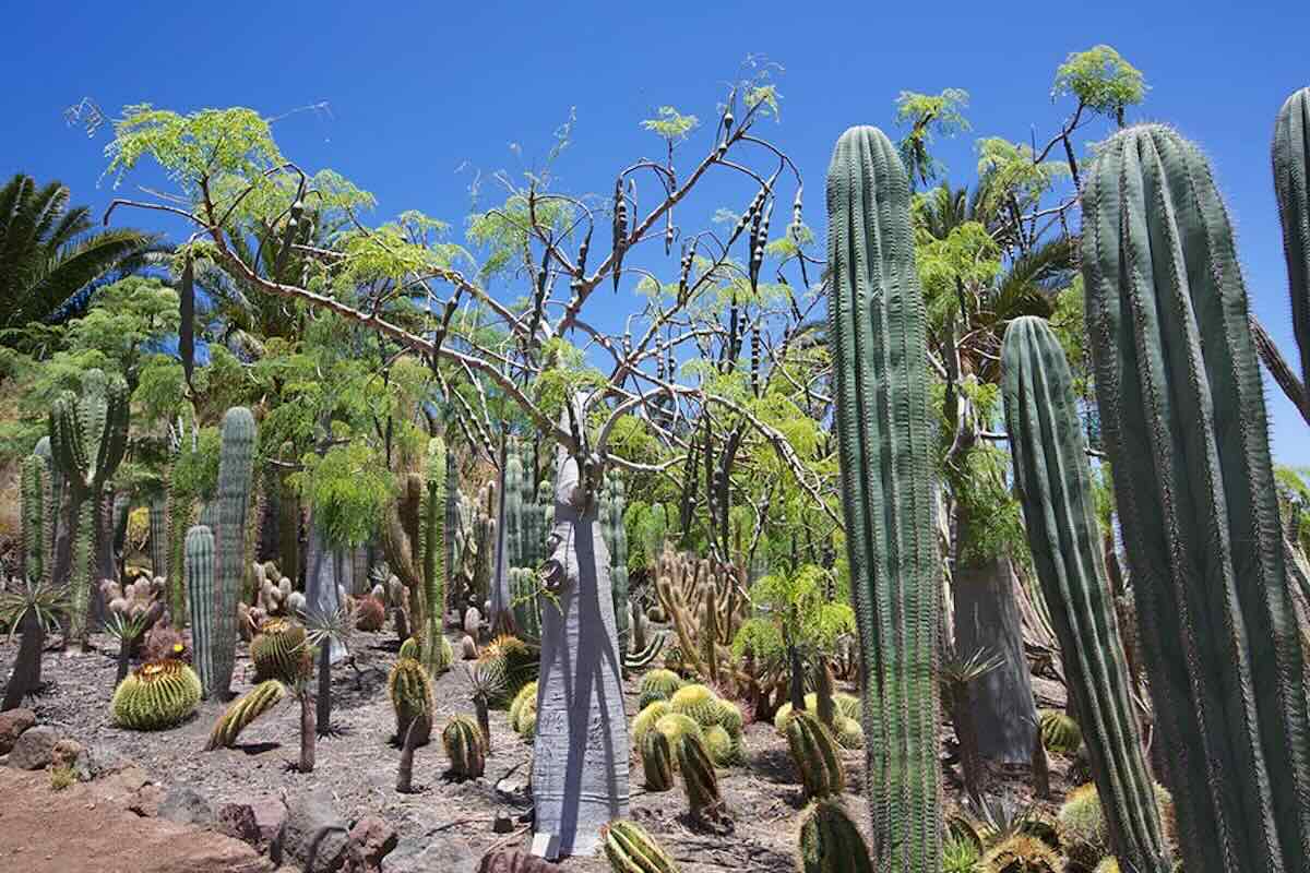 Cactualdea Park Gran Canaria