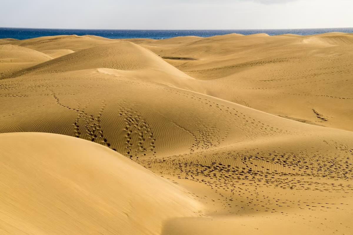 Planes En Familia En Gran Canaria