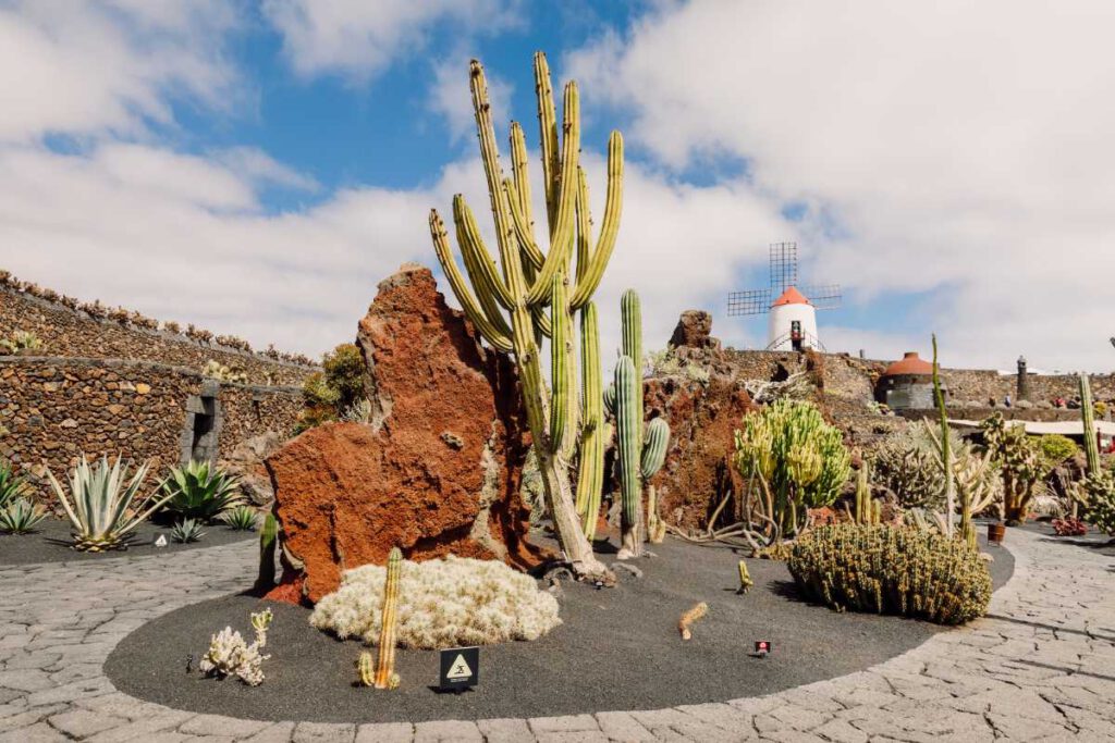 Planes En Lanzarote