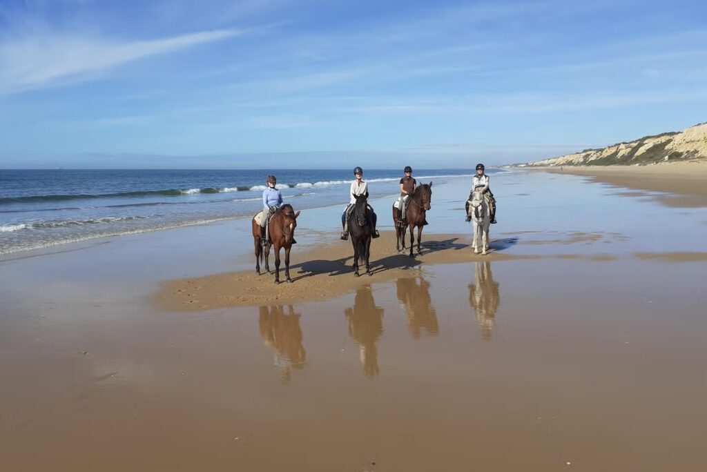 Excursiones Con Niños En Huelva