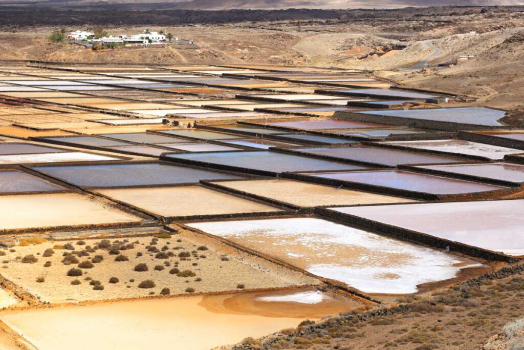 Qué Ver Y Qué Hacer Con Niños En Lanzarote