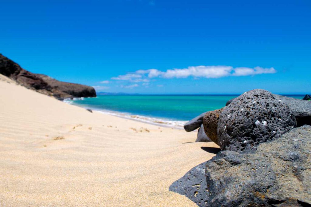 Qué Hacer En Fuerteventura Con Niños