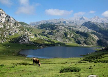 Asturias Con Niños (20 Planes Que No Te Puedes Perder) - Pequeocio Qué Hacer En Asturias Con Niños
