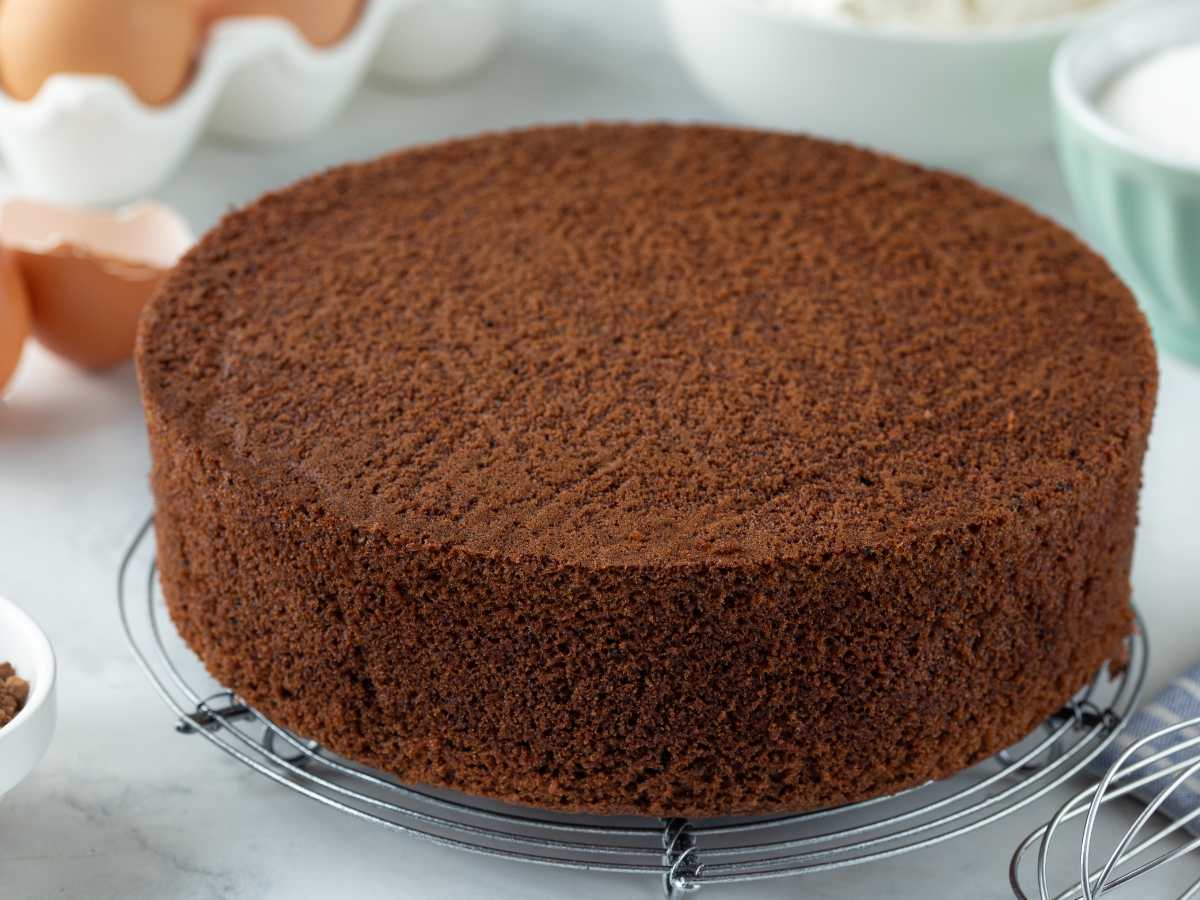 Bizcocho Chocolate