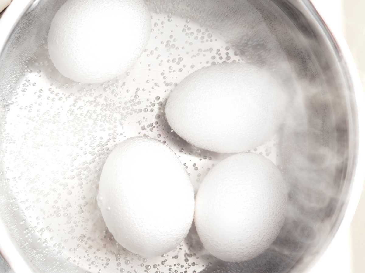 Huevos Cocidos