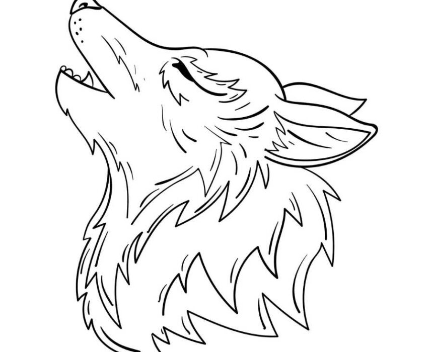 dibujo para colorear de cabeza de lobo