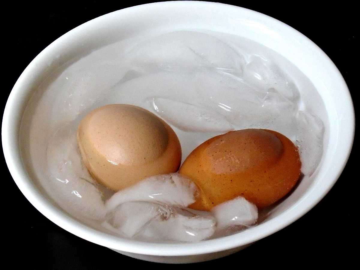 Huevos Cocidos En Hielo