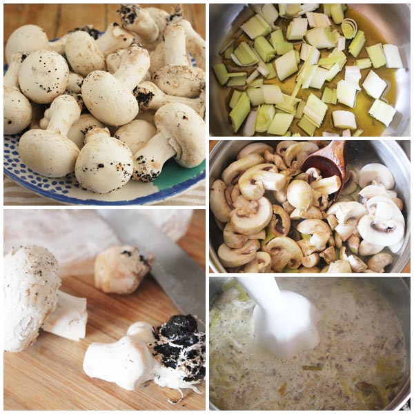 Salsa Champinones Pasos