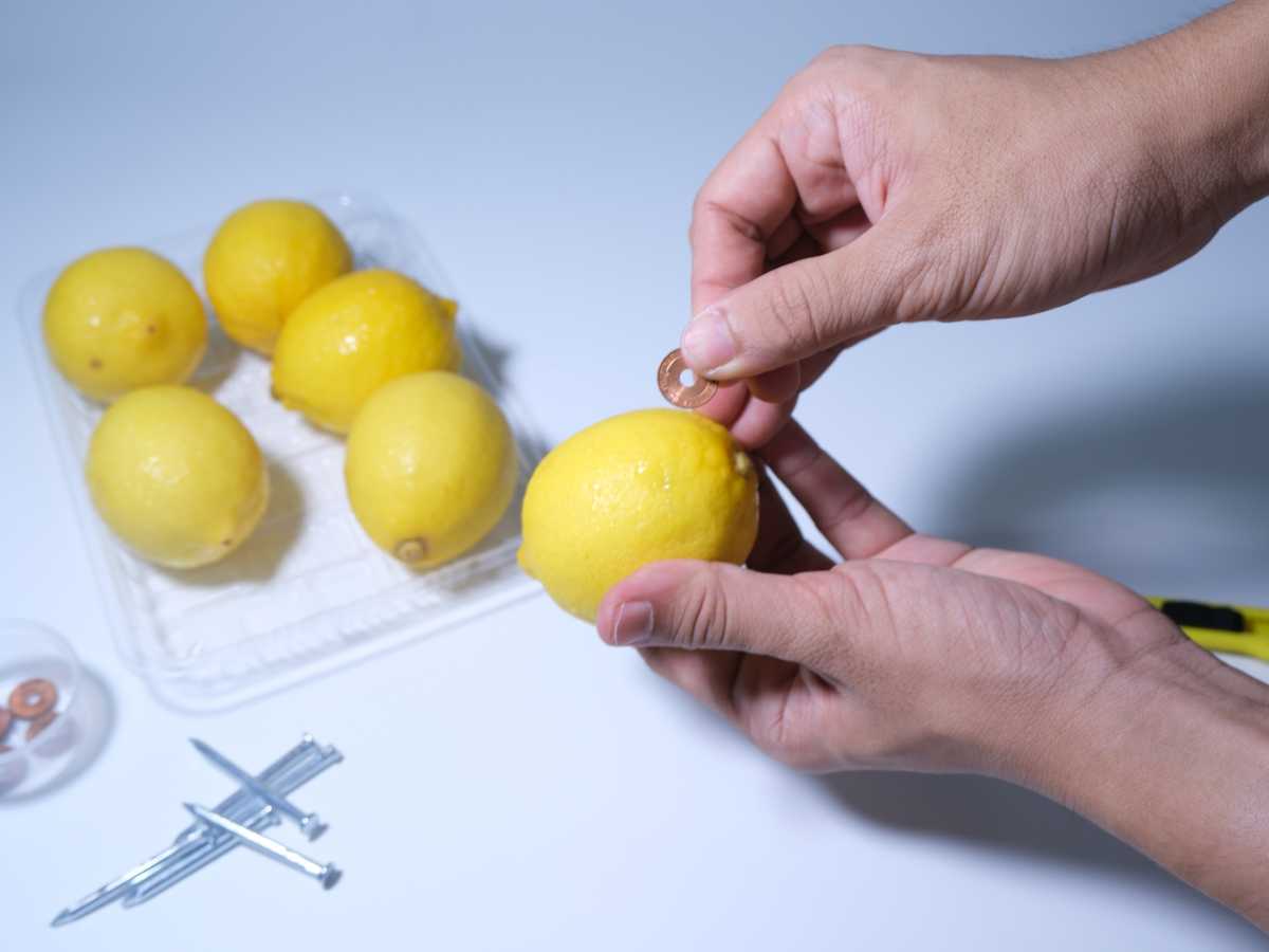 Experimento Con Limones Para Niños
