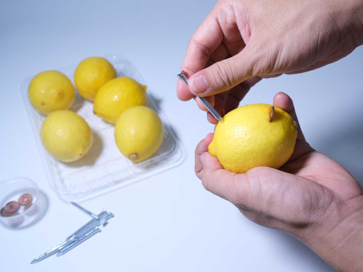 Experimento De Bateria De Limones