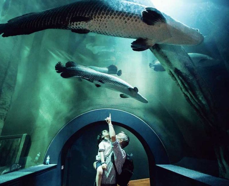 Acuario de Zaragoza