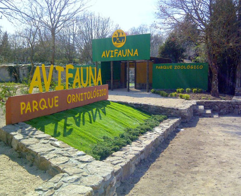 Avifauna, excursión con niños en Lugo