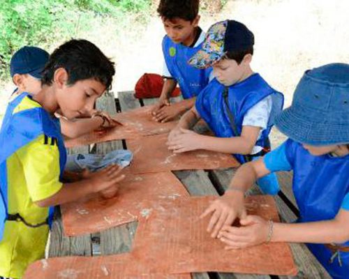 Campamento de Verano del Museo de Ciencias Naturales de Madrid