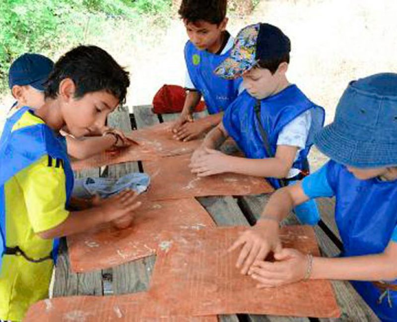 Campamento de Verano del Museo de Ciencias Naturales de Madrid