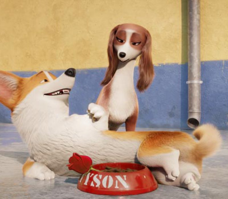 corgi pelicula