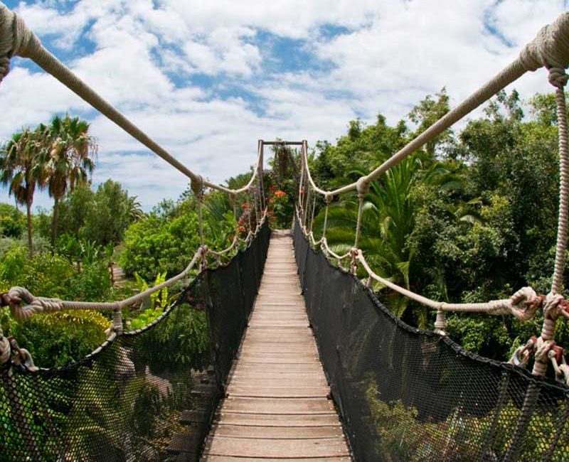 Jungle Park Tenerife