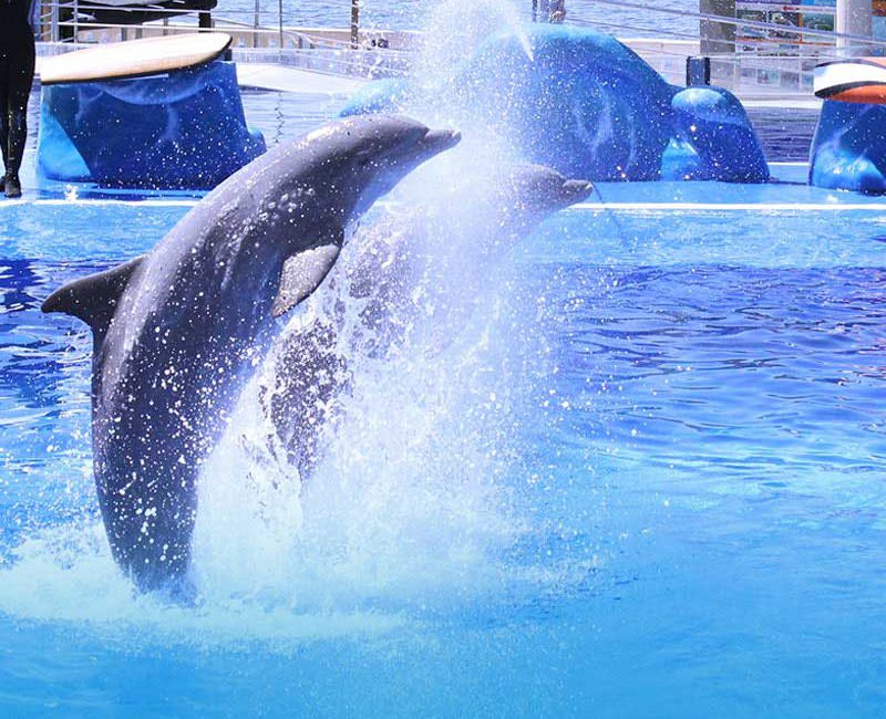 Marineland Mallorca