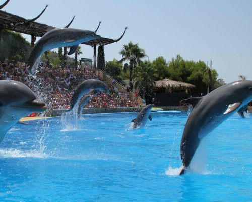 Mundomar Benidorm entradas