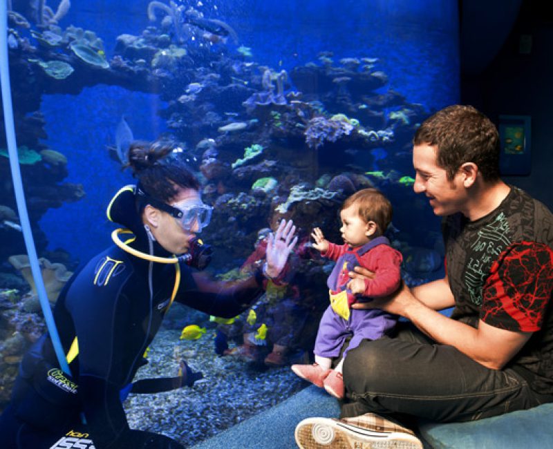 palma-aquarium-ninos