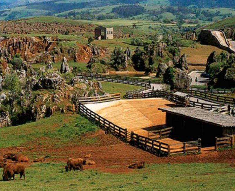 Parque de Cabarceno entradas