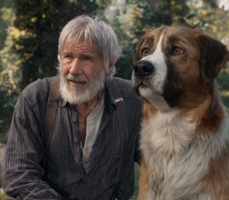 pelicula la llamada de lo salvaje