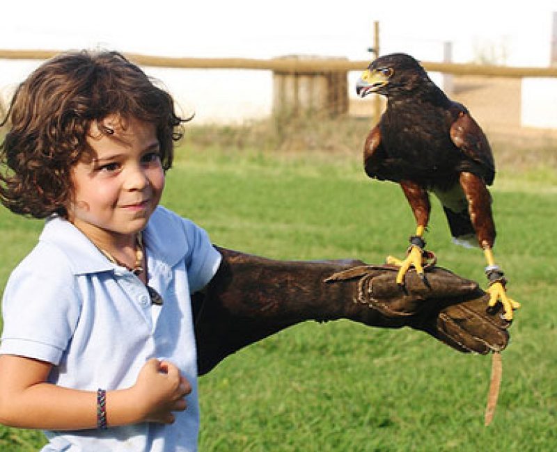 Actividades con niños en Madrid