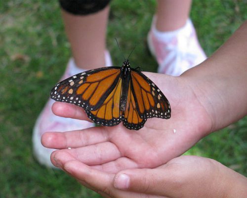 Talleres infantiles en Barcelona